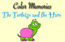 Color Memories - Tortoise