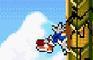Sonic The Randomhog