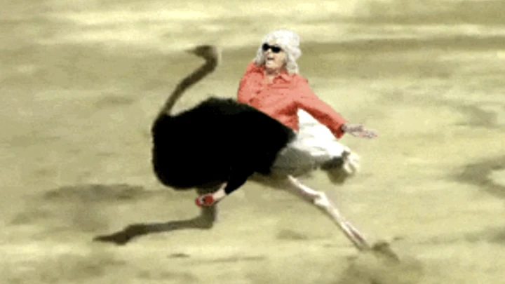 Deen's Run