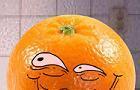Teh Annoying Orange