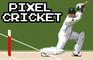 Pixel Cricket Multiplayer
