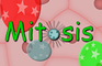 Mitosis: Serum Experiment