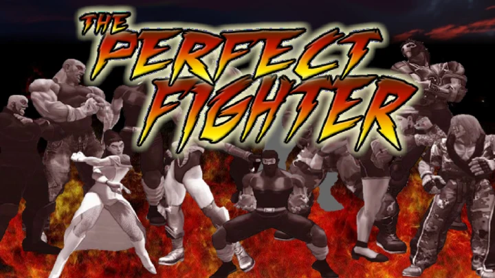 The Perfect Fighter