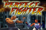 The Perfect Fighter