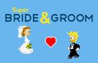 Super Bride and Groom