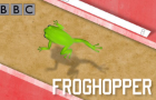 Froghopper