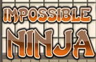 Impossible Ninja 2