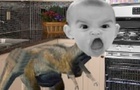 Dinosaurs With Baby Heads