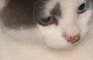 [KK] Surfing Pikachu 7