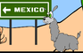 Llama Drama