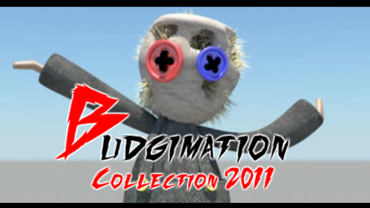 Budgimation Collection