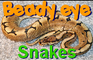 Beady Eye:Snakes