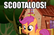 Catch the Scootaloos