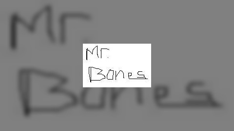Mr. Bones Promo