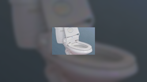 Toilet Surprise