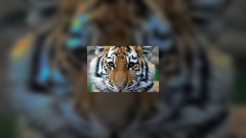 Tiger and Cubs Jigsaw