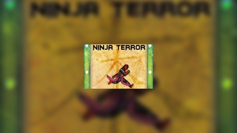 Ninja Terror