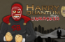 Harry Quantum 2: Unmasked
