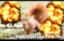 The Squirrel King