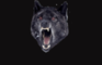 Lazar Wolf