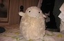 `Sheep` Test