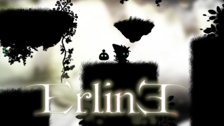 ErlinE