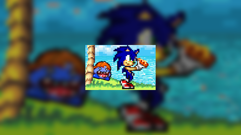 Sonic VS Quote