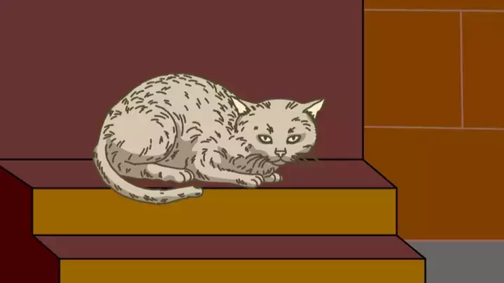 Pussy Pussy!