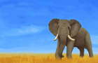 UMoN- Elephants