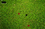 Ant Warz