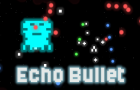 Echo Bullet