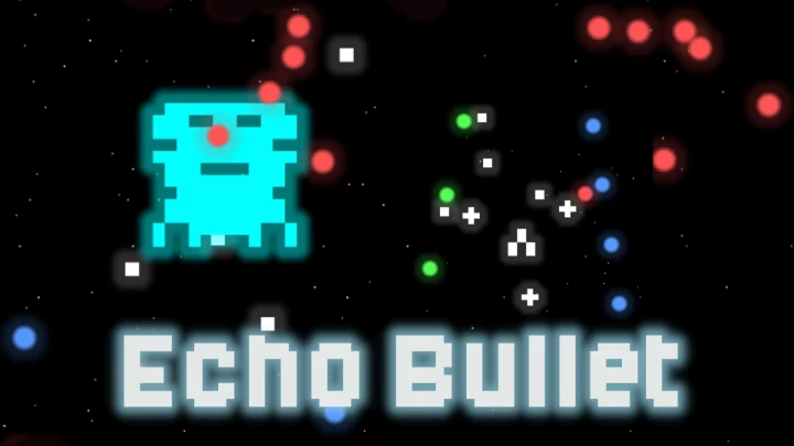 Echo Bullet