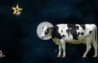 I'm a Cow in Space