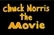 Chuck Norris the Movie