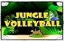 Jungle Volleyball 2Player