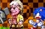 Sonic's Future
