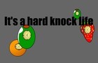 Hard Knock Life