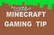 Minecraft Tip            
