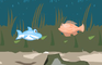 A Little Shark