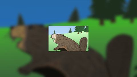 Curious Beaver