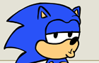 Sonic vs. The Government
