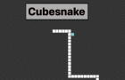 CubeSnake