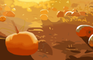 The Pumpkin Patch