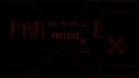 Particle X