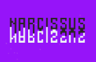 Narcissus