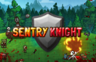 Sentry Knight