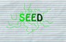 Seed