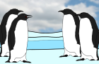 The Penguin Habitat