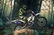 Motocross Forest Challeng