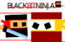 Black Bit Ninja